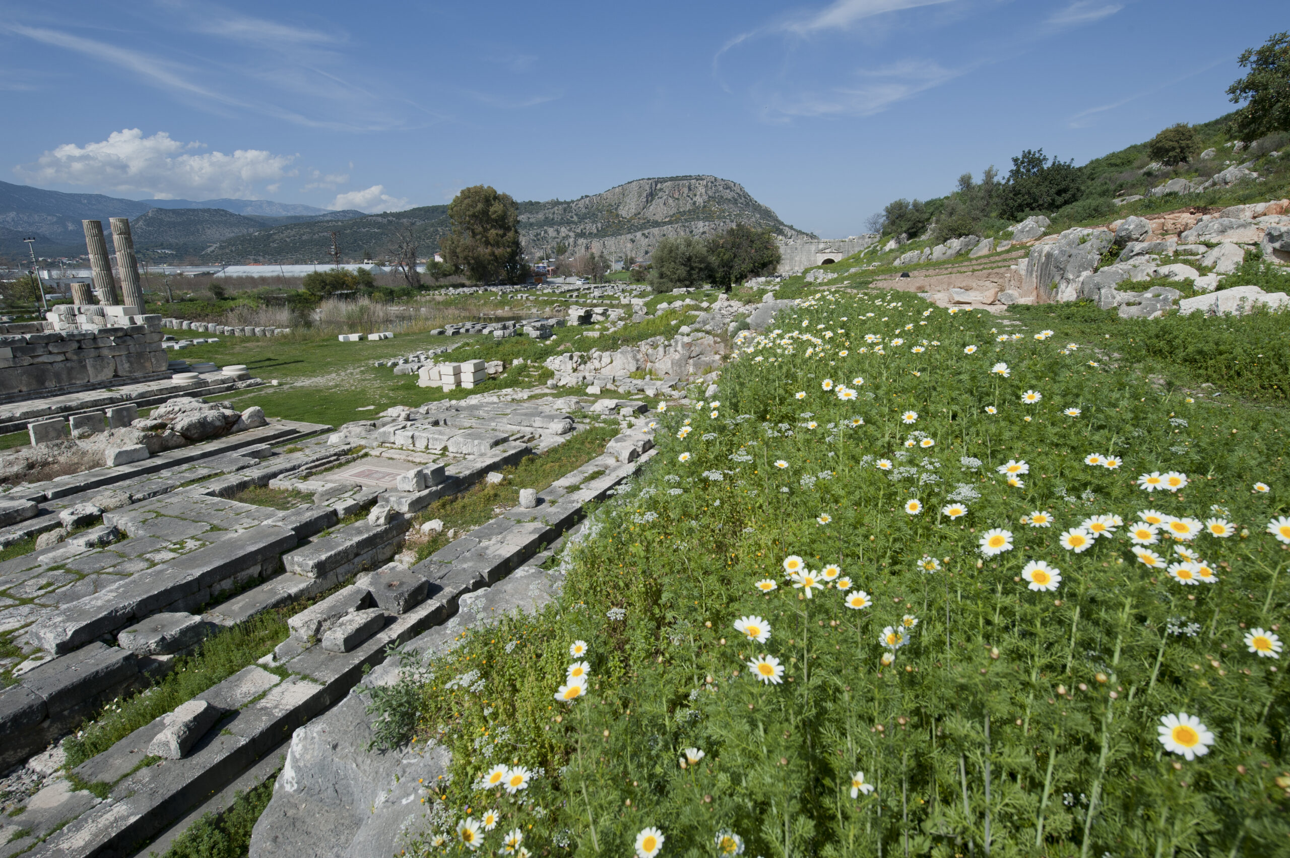 クサントスとレトーン