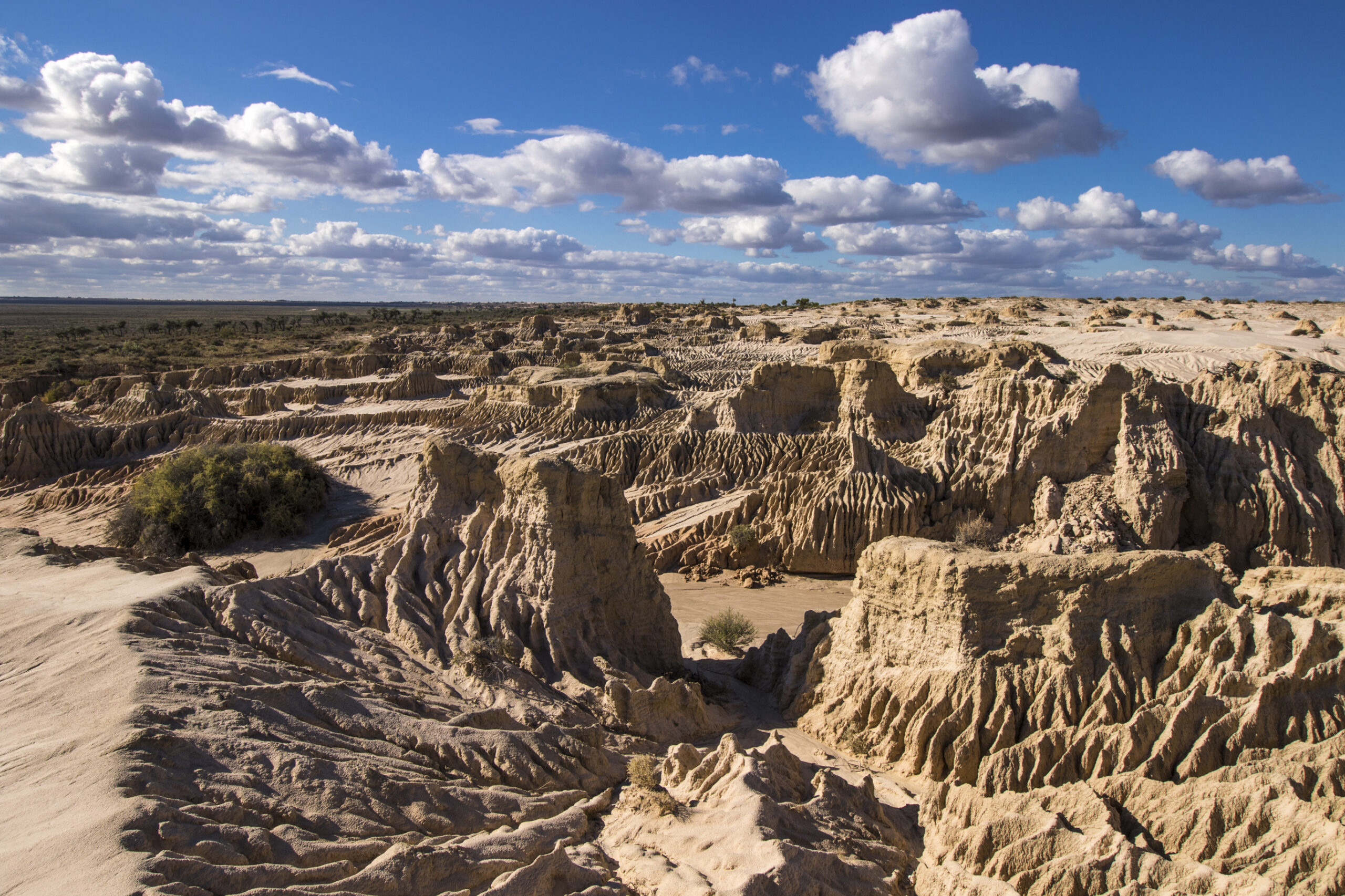 ウィランドラ湖地域