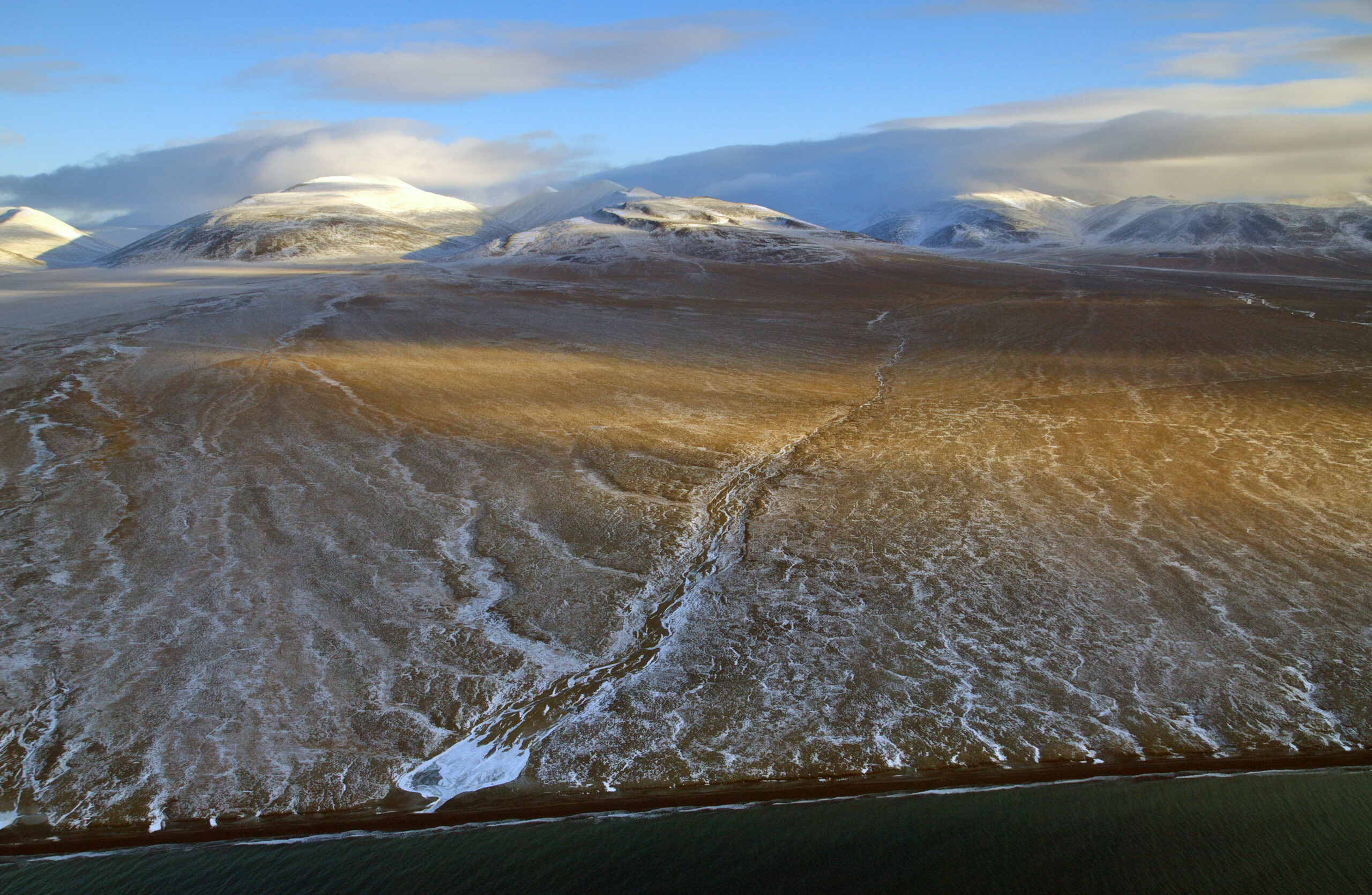ウランゲリ島保護区の自然生態系