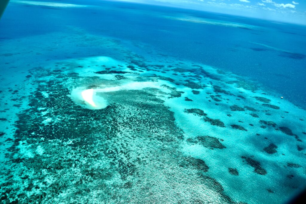 グレート・バリア・リーフは、オーストラリア北東部の海岸沿いに広がる世界最大のサンゴ礁であり、1981年にユネスコの世界遺産に登録されました。この地域は、約348,000平方キロメートルに及ぶ広大な海域を持ち、豊かな生物多様性と壮麗な海洋景観を誇る貴重な自然遺産として高く評価されています。