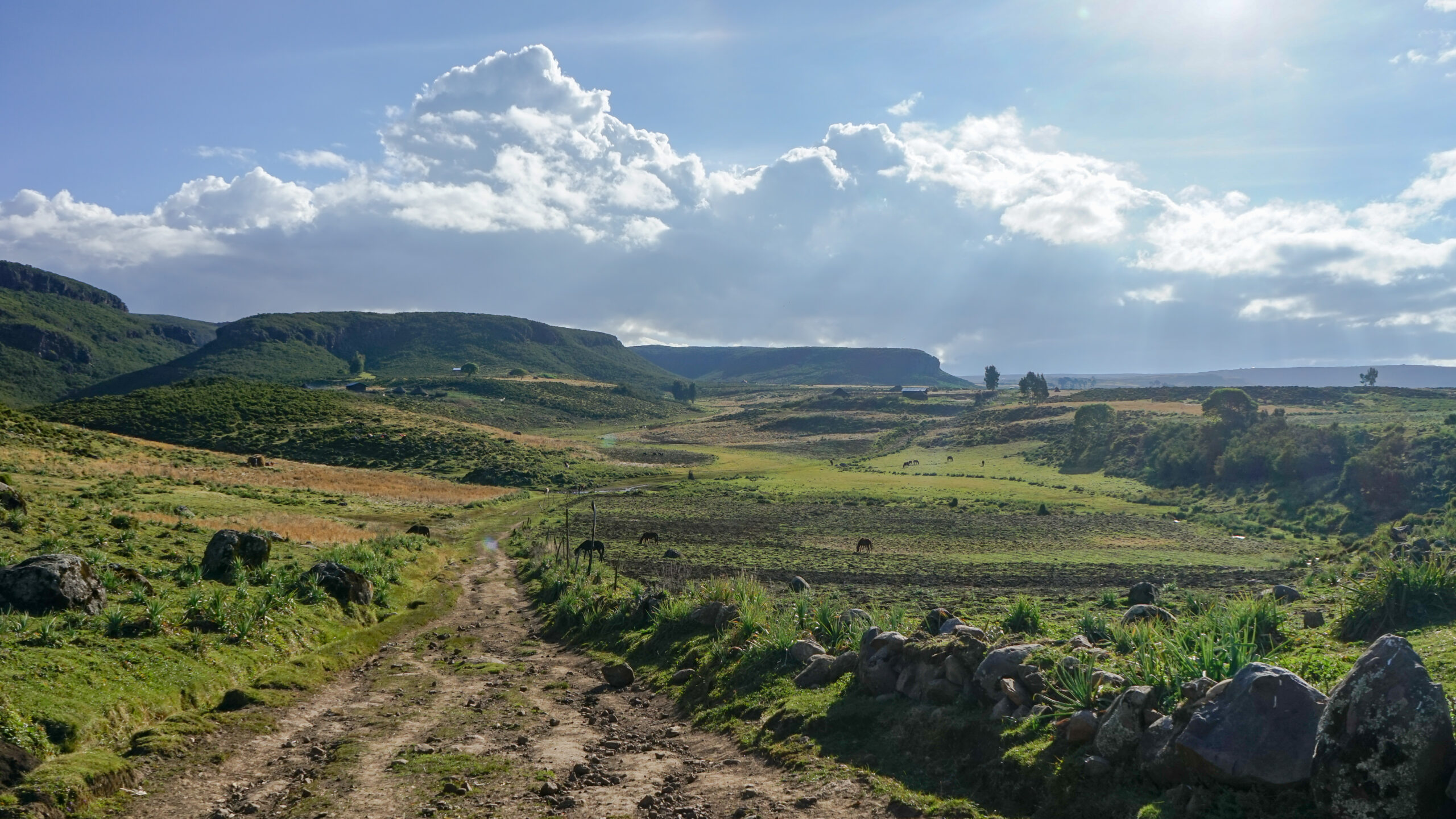 バレ山脈国立公園