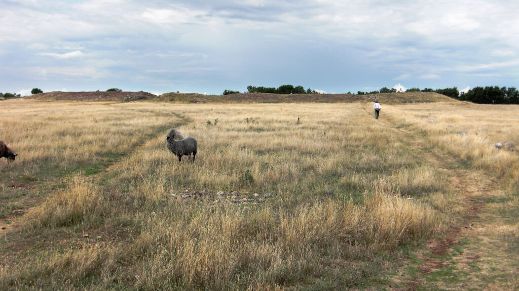 エーランド島南部の農業景観