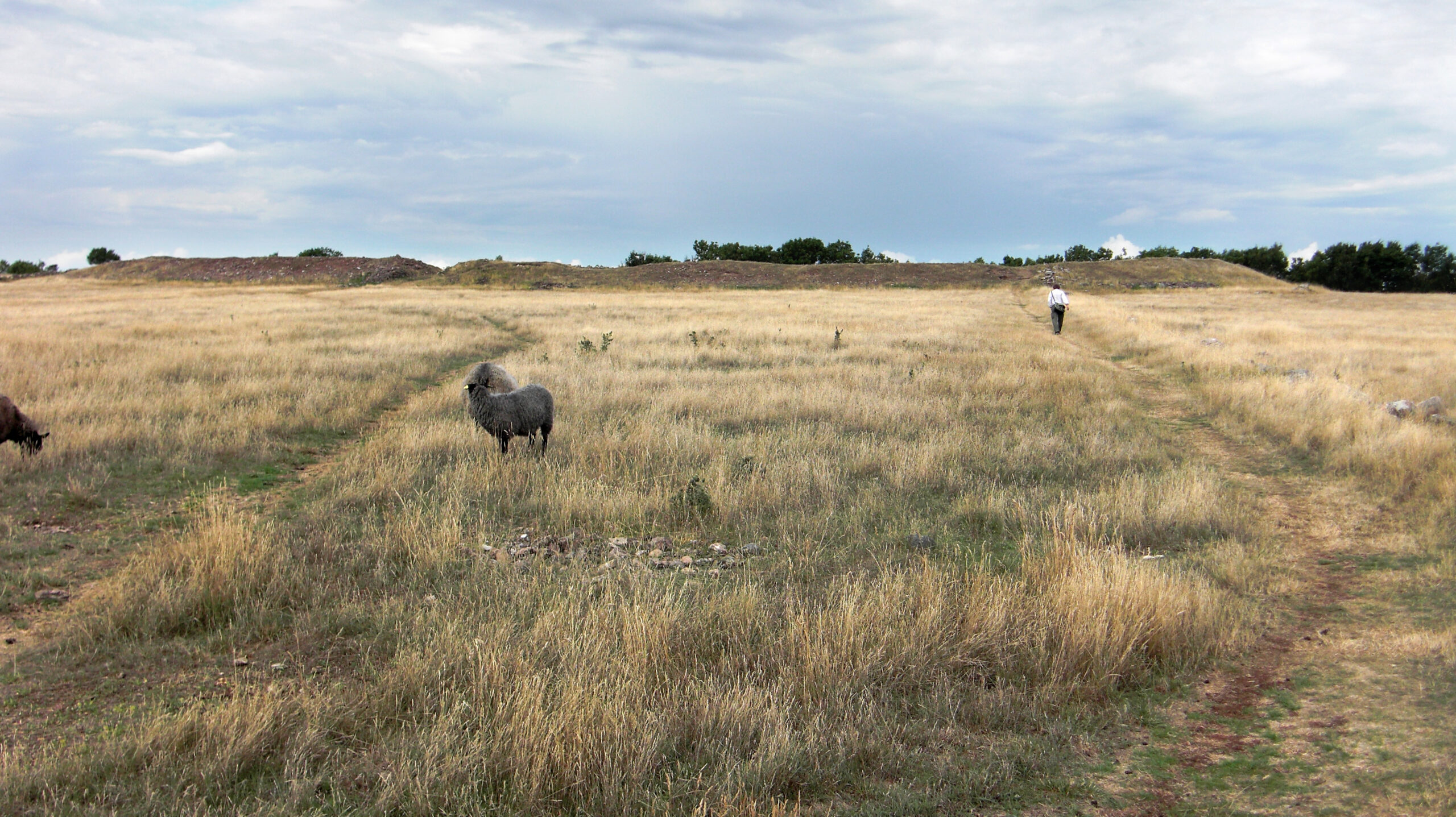 エーランド島南部の農業景観