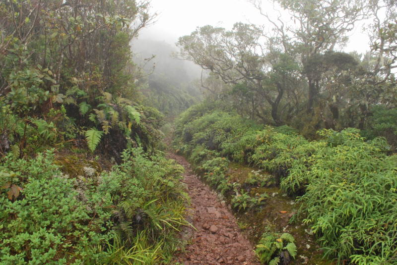 ブルー・アンド・ジョン・クロウ山脈