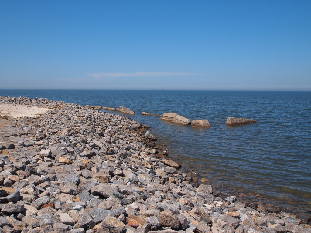 中国の黄海・渤海湾沿岸の渡り鳥保護区