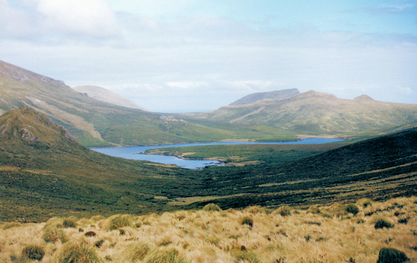 ニュージーランドの亜南極諸島