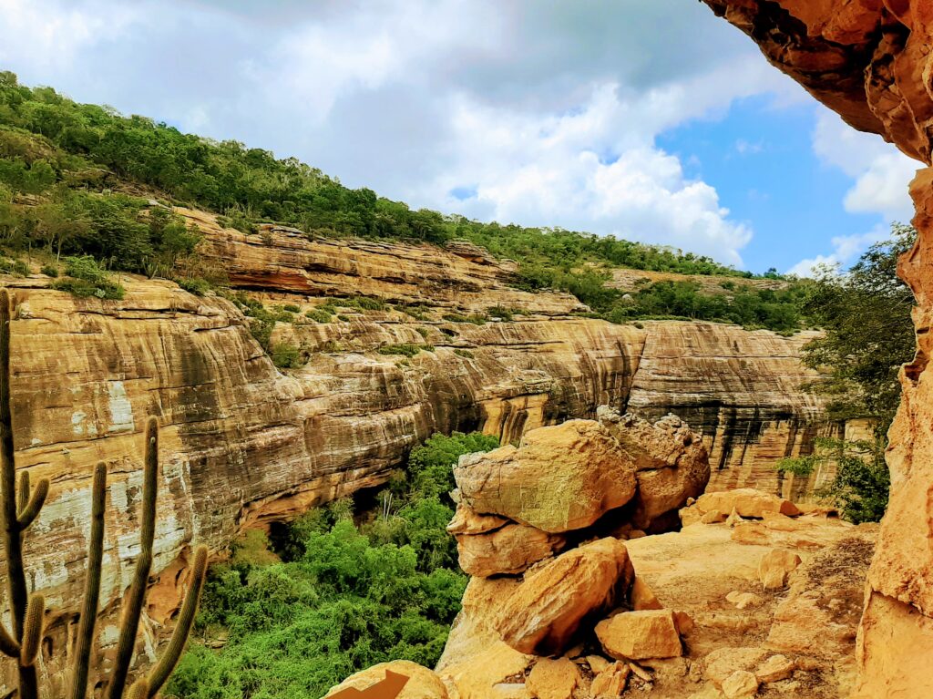 セラ・ダ・カピバラ国立公園