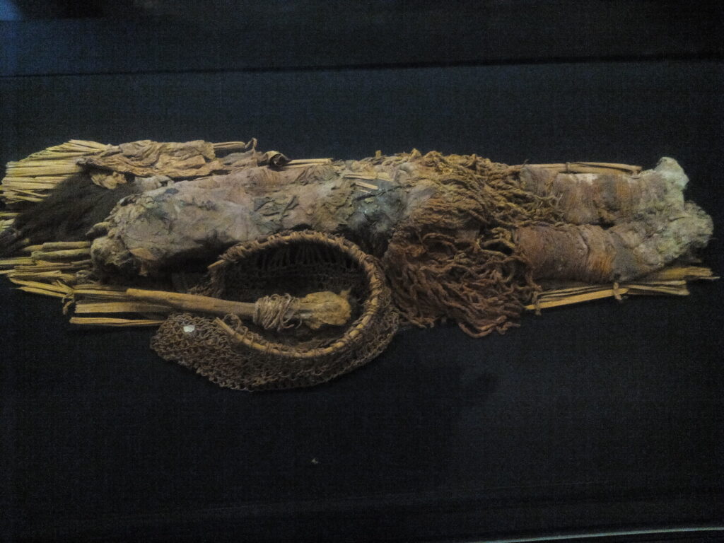 アリカ・イ・パリナコータ州におけるチンチョーロ文化の集落と人工ミイラ製造技術