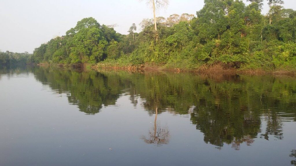 ジャー動物保護区