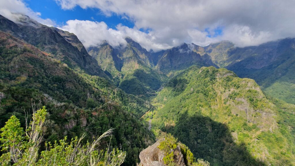 マデイラ島の照葉樹林