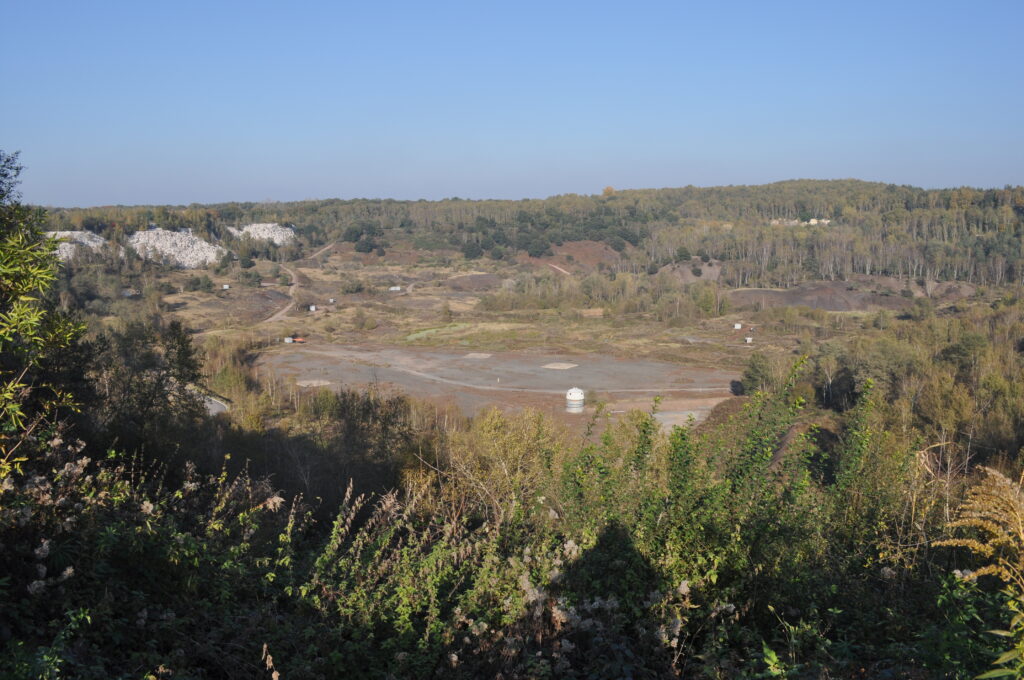 メッセルの化石採掘地区