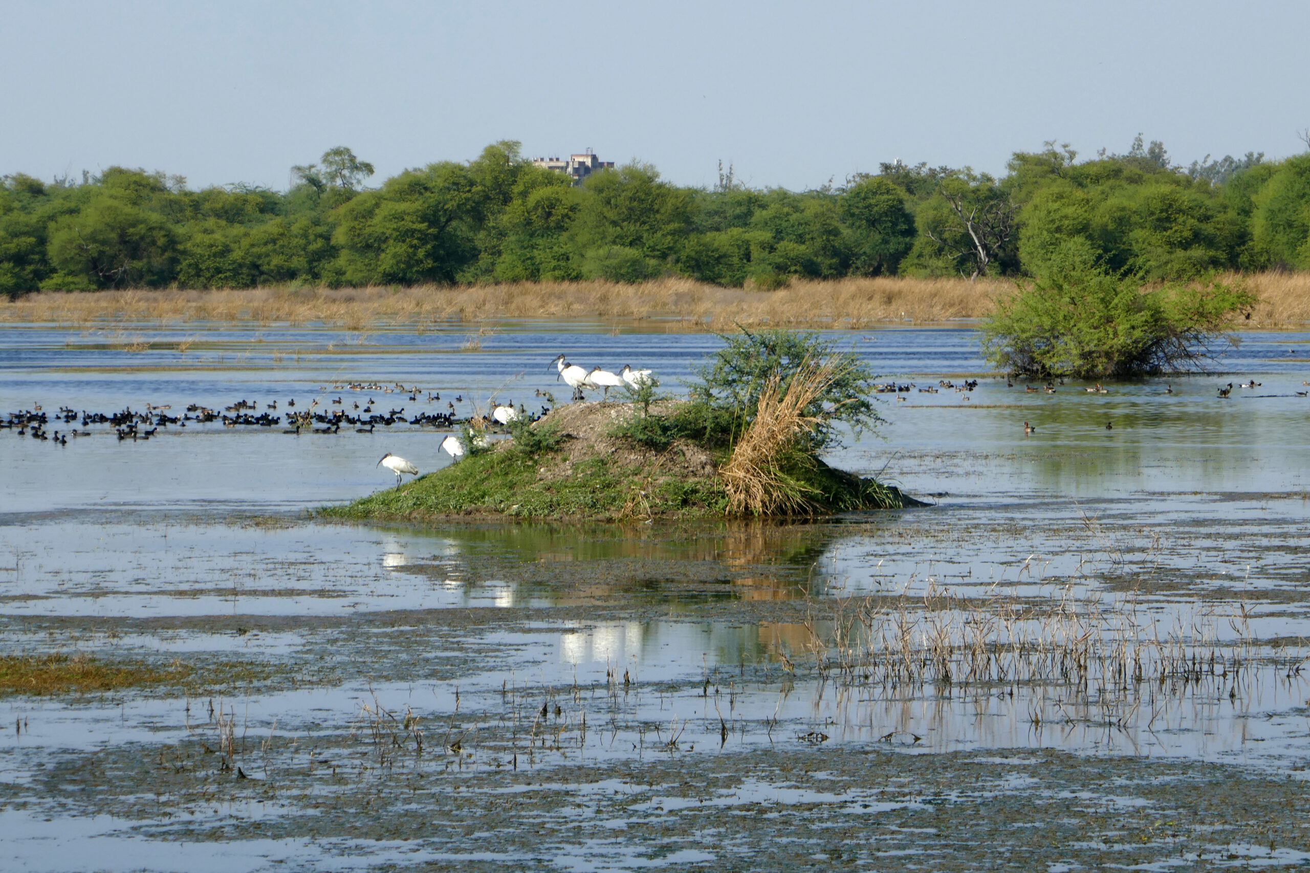 ケオラデオ国立公園