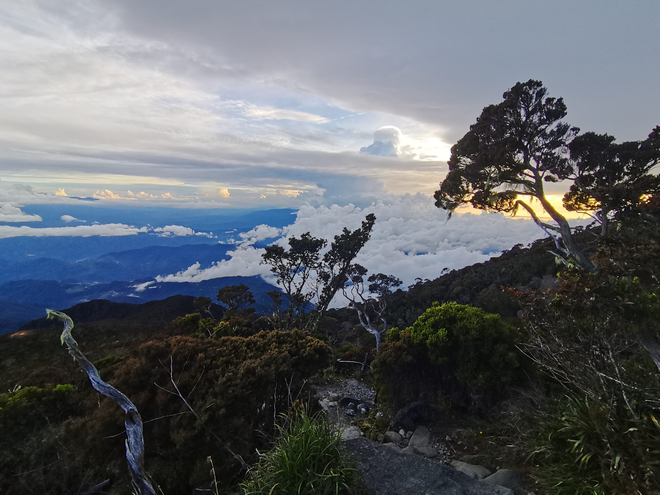 キナバル自然公園