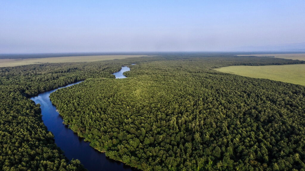 コルキスの熱帯雨林群と湿地群