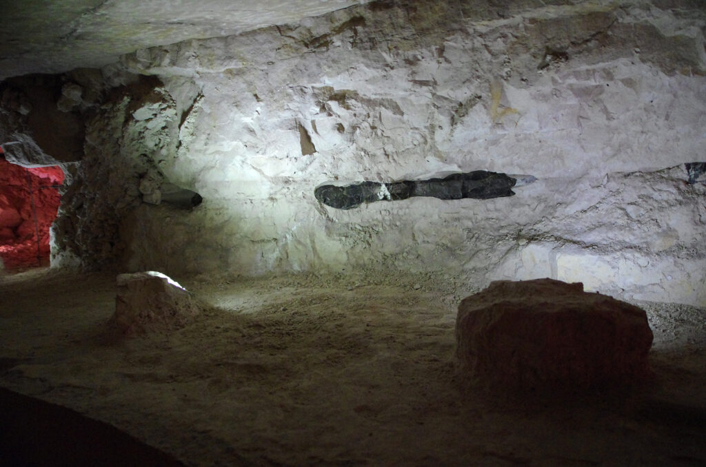 クシェミオンキにある先史時代の縞状フリント（火打石）採掘地域