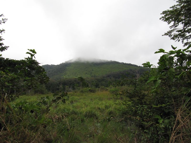 ロペ－オカンダの生態系と残存する文化的景観