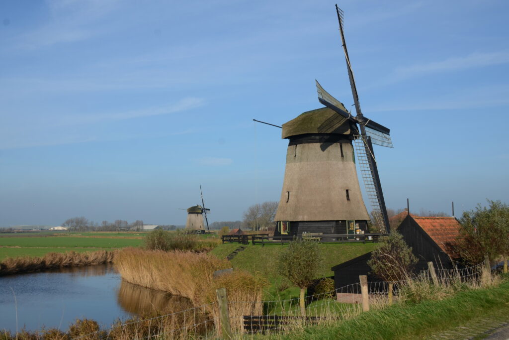 ベームスター干拓地（ドゥローフマーケライ・デ・ベームスター）