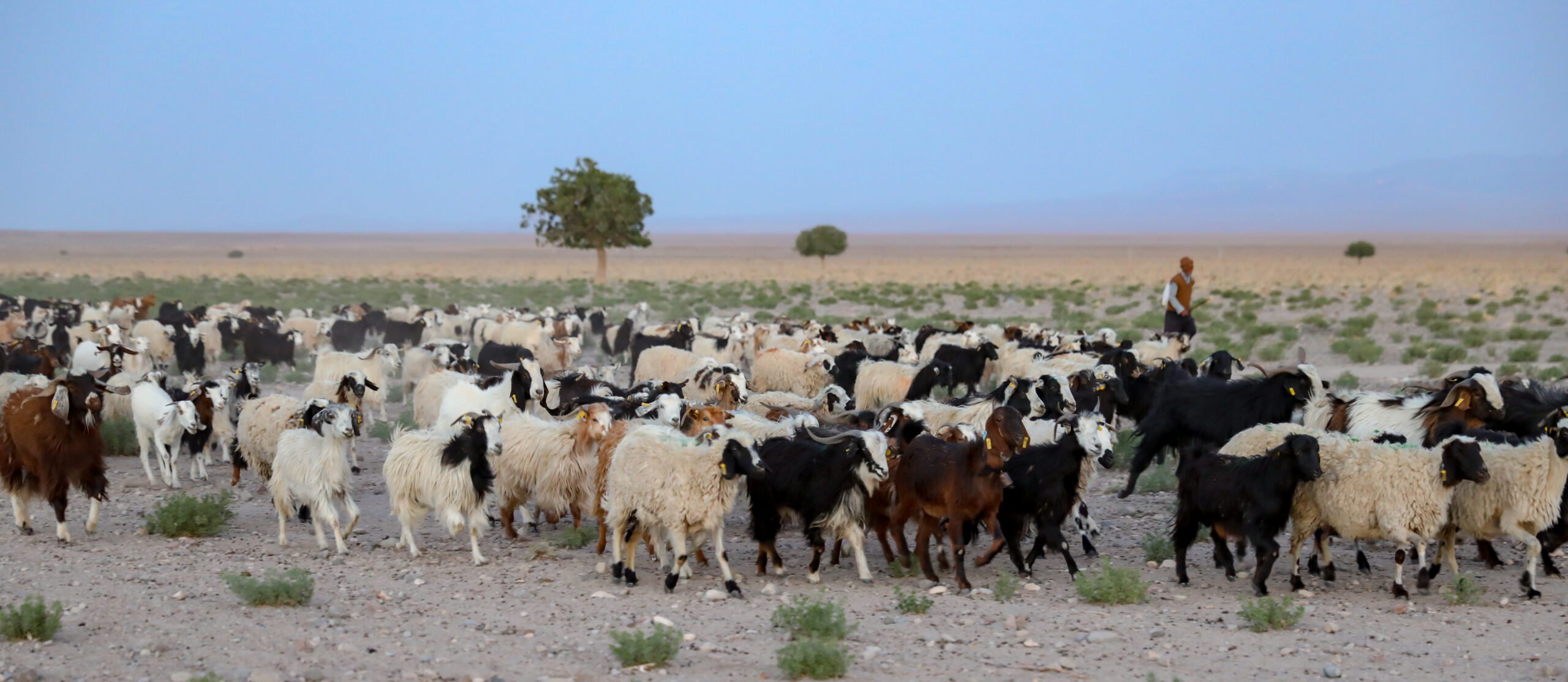 メイマンドの文化的景観