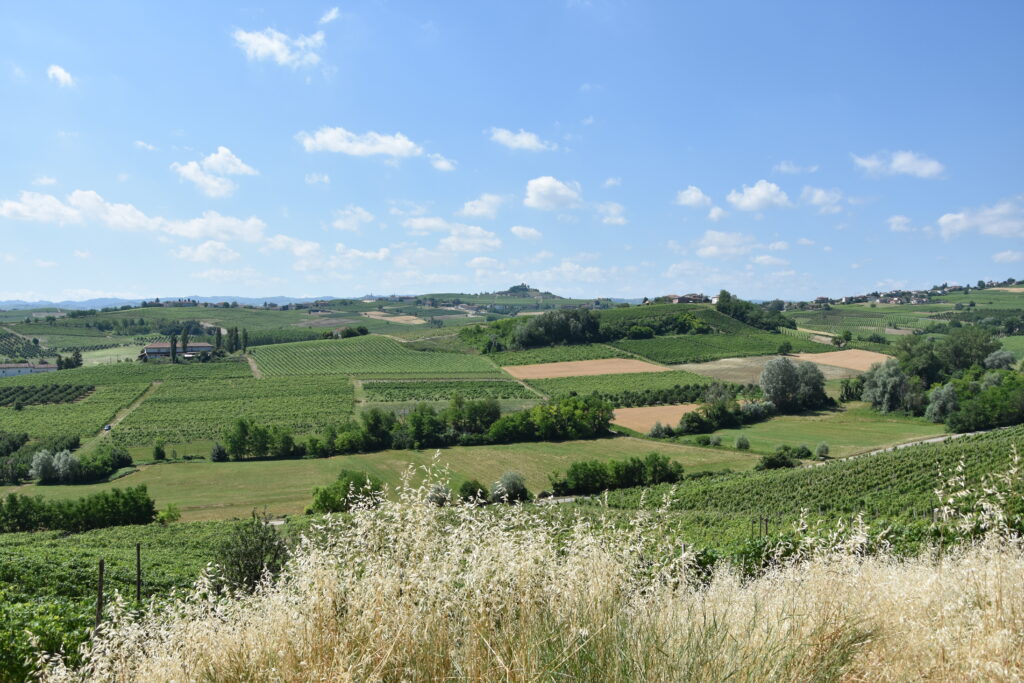 ピエモンテのブドウ園の景観：ランゲ・ロエロとモンフェッラート