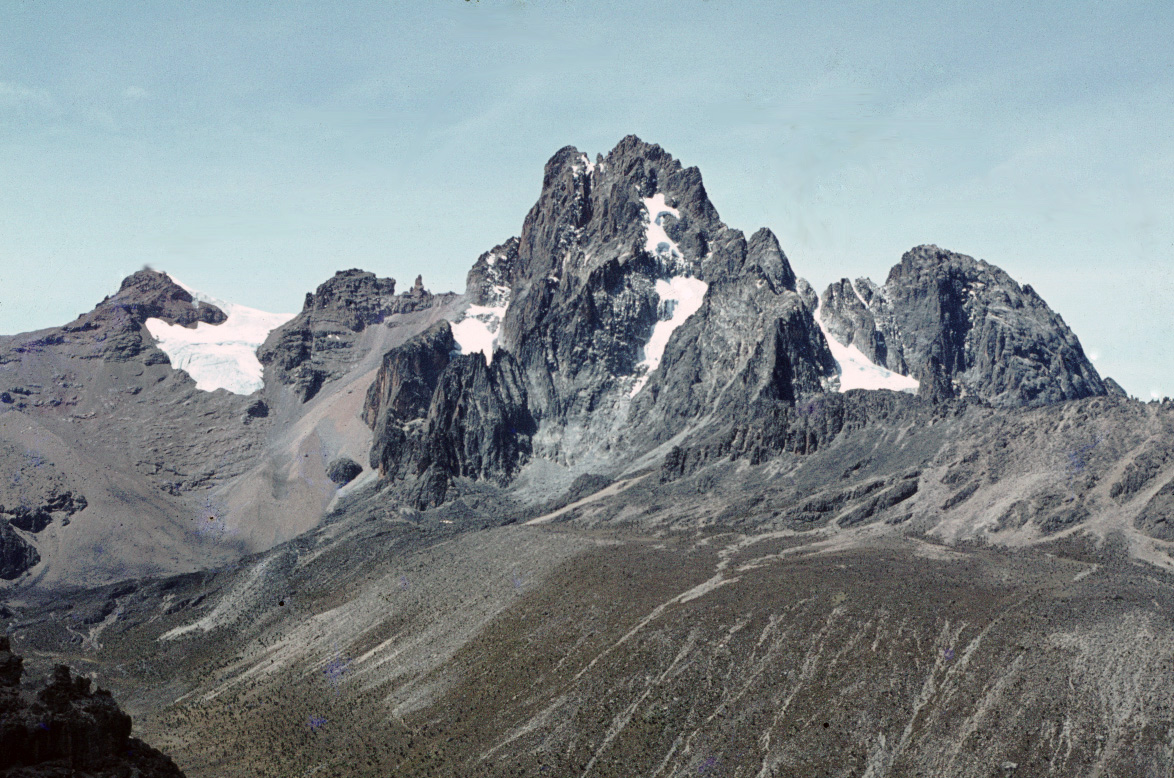 ケニア山国立公園と自然林