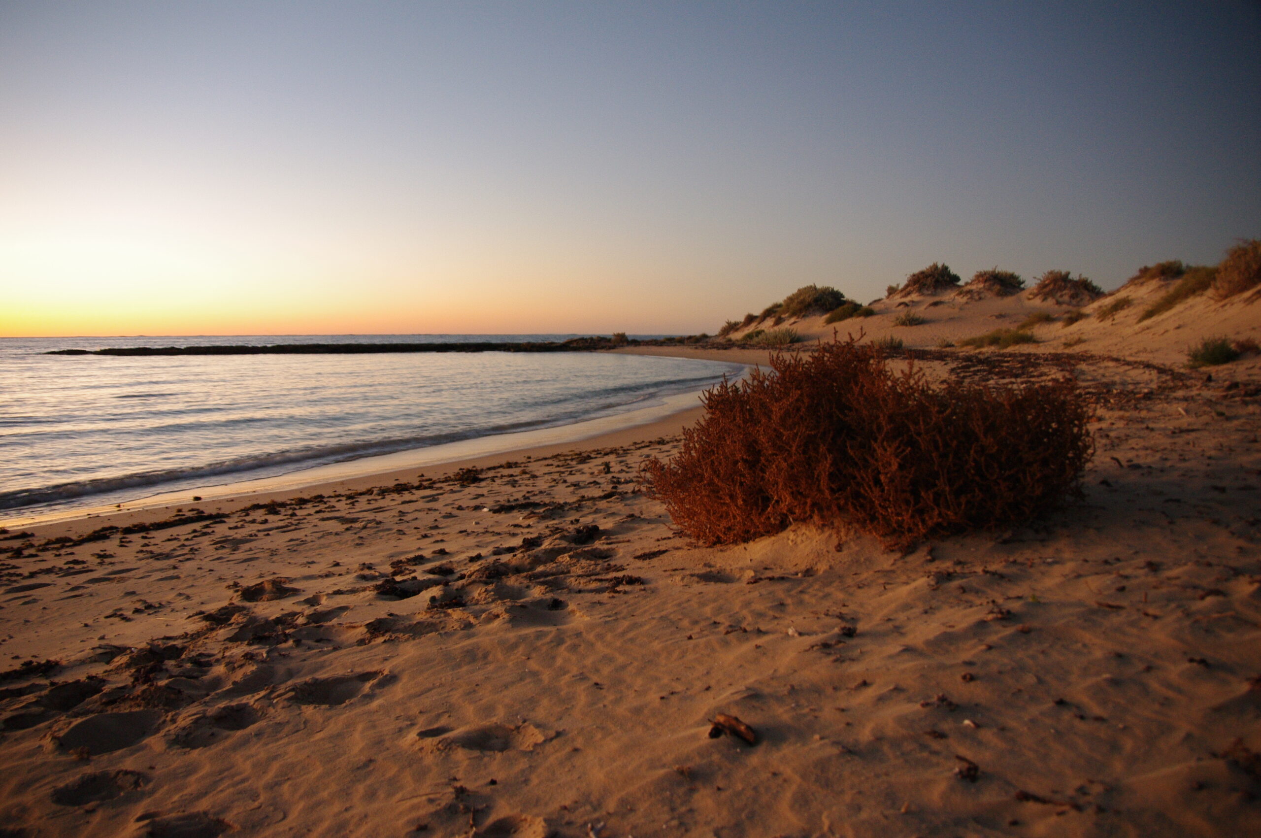 ニンガルー・コースト