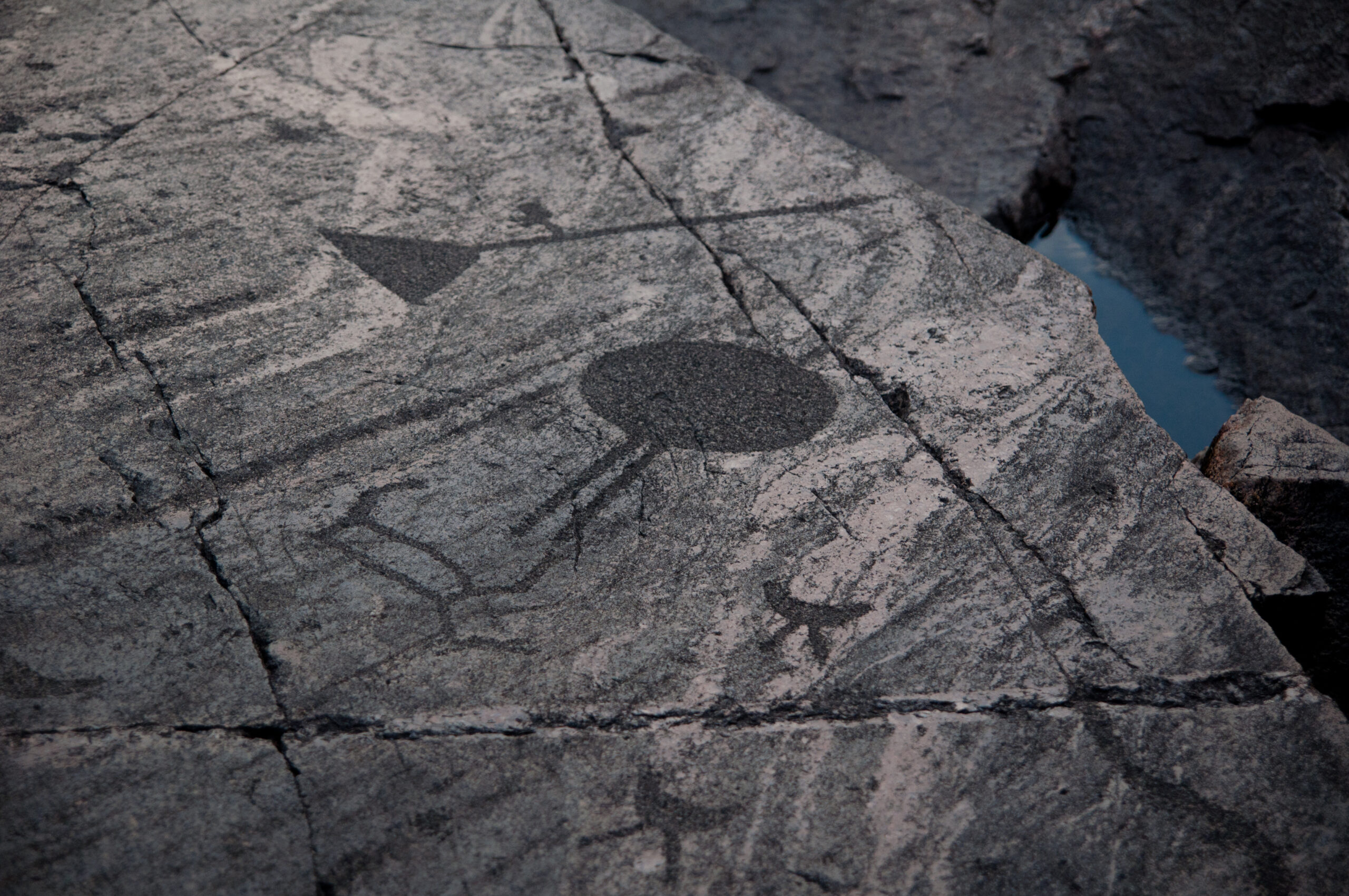 オネガ湖と白海の岩絵群