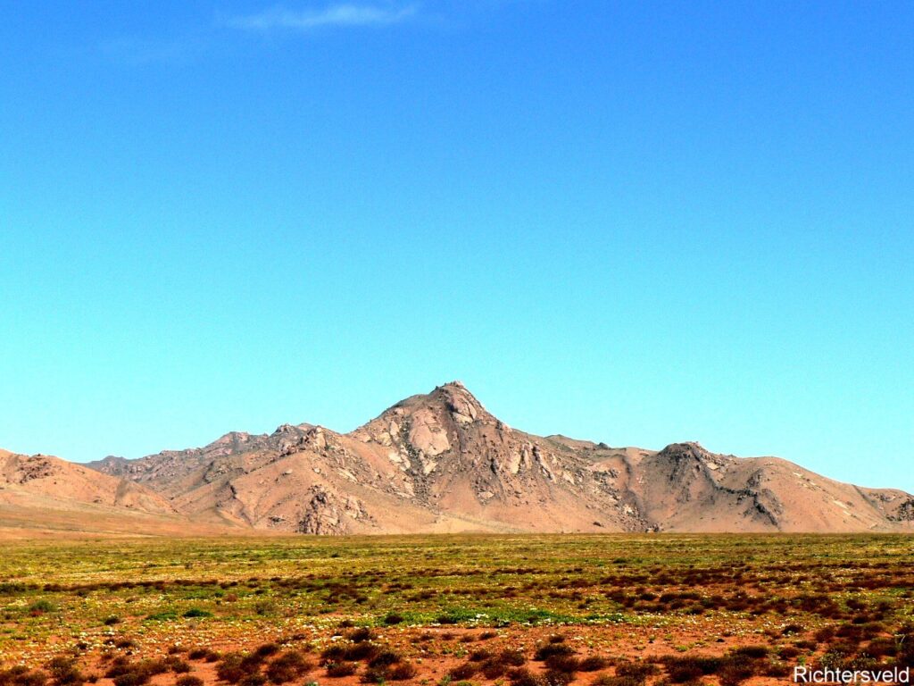 リヒタースフェルドの文化的及び植物学的景観