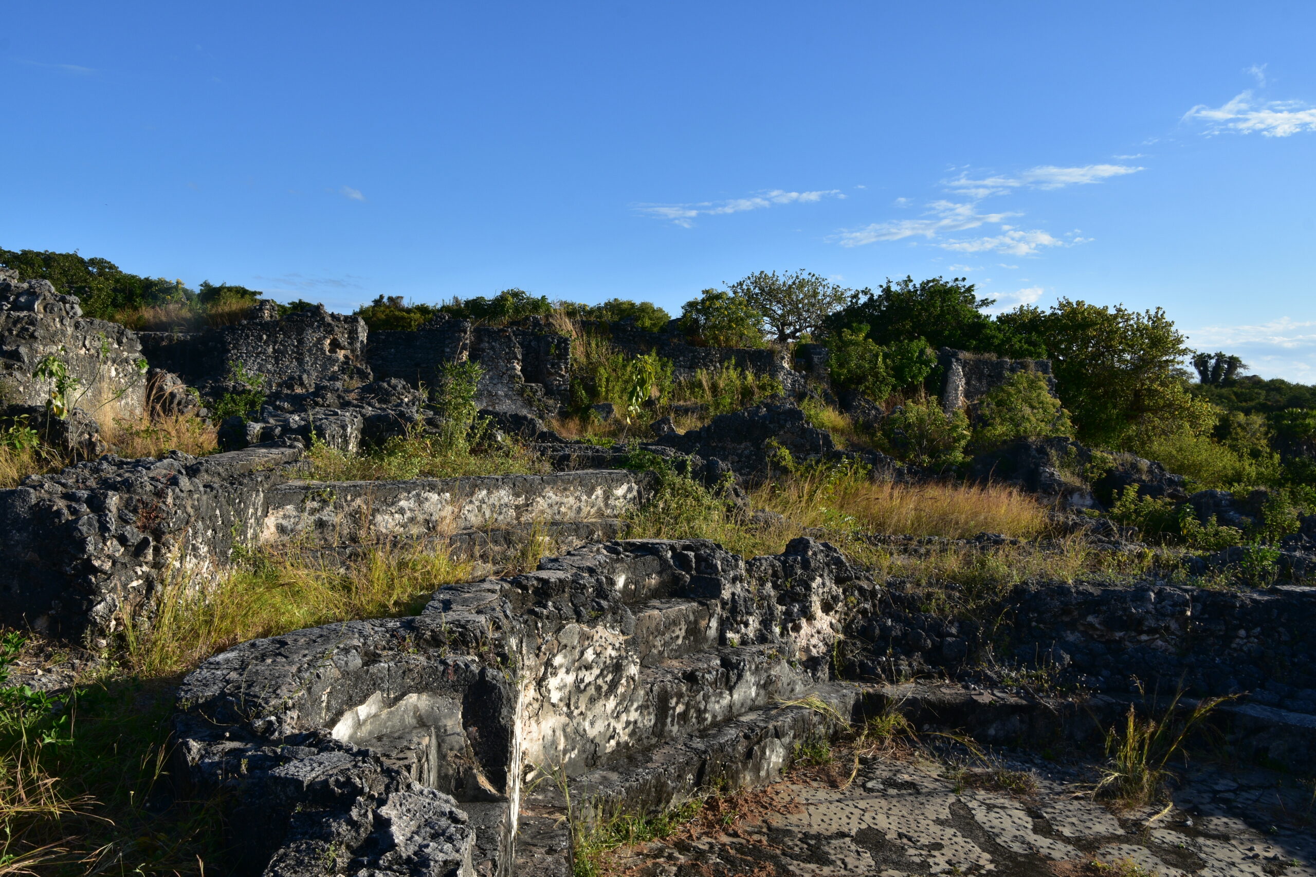 キルワ・キシワニとソンゴ・ムナラの遺跡