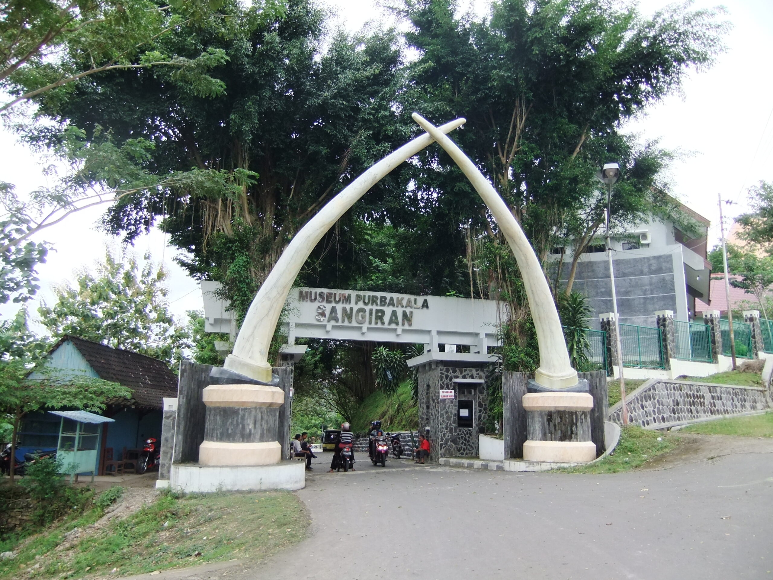 人類化石出土のサンギラン遺跡