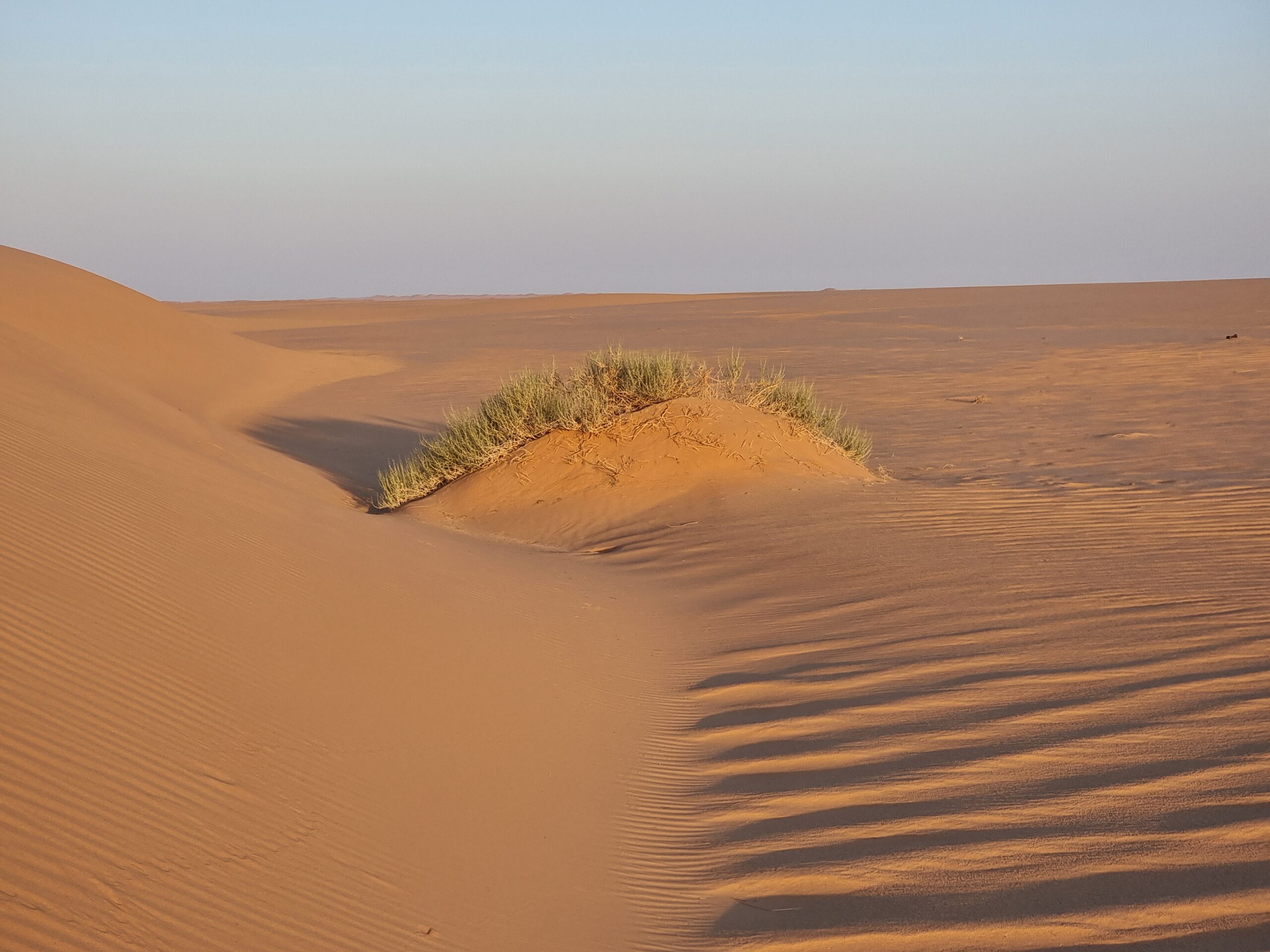 ウルク・バニ・マアリド