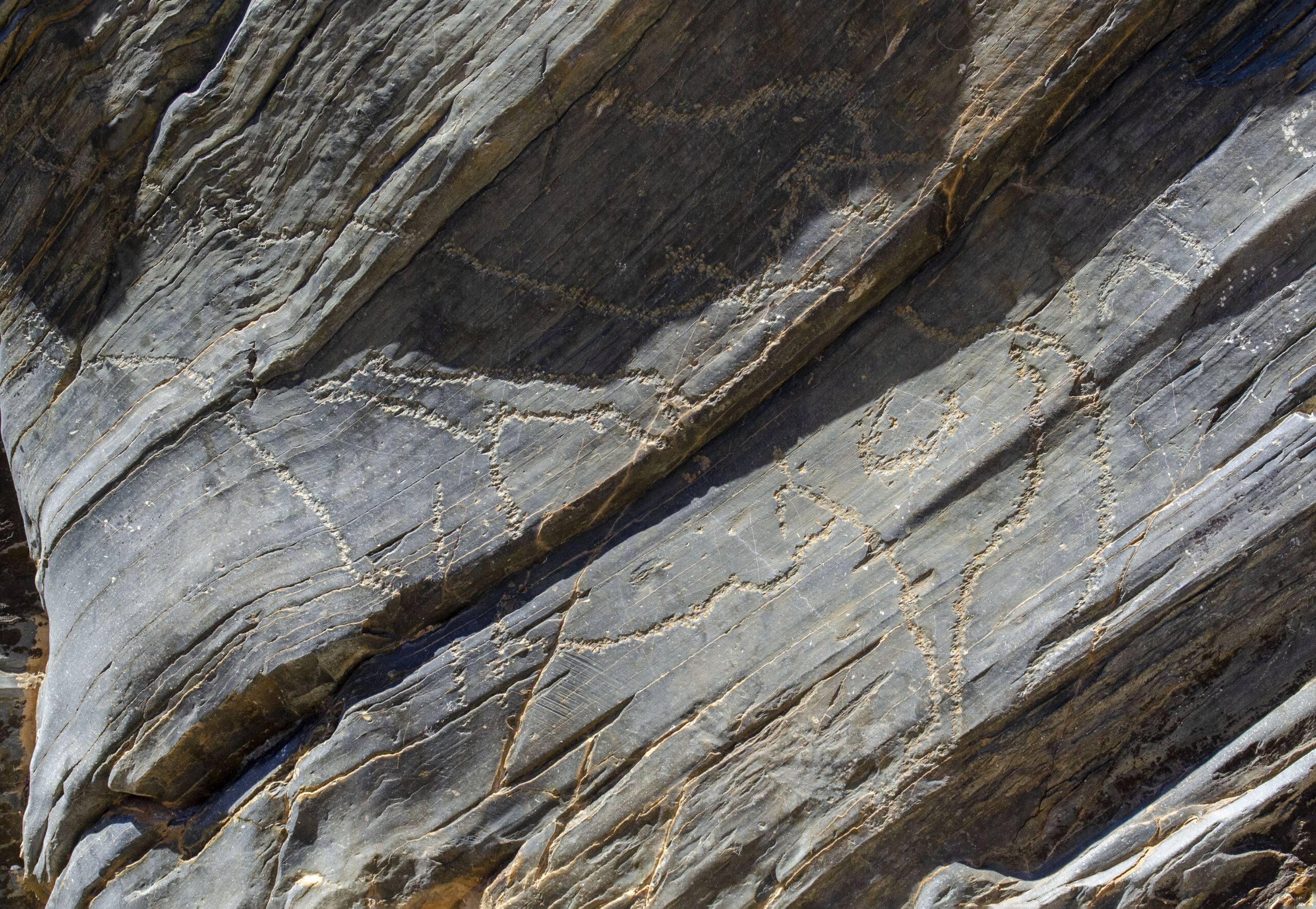 コア渓谷とシエガ・ベルデの先史時代の岩絵群