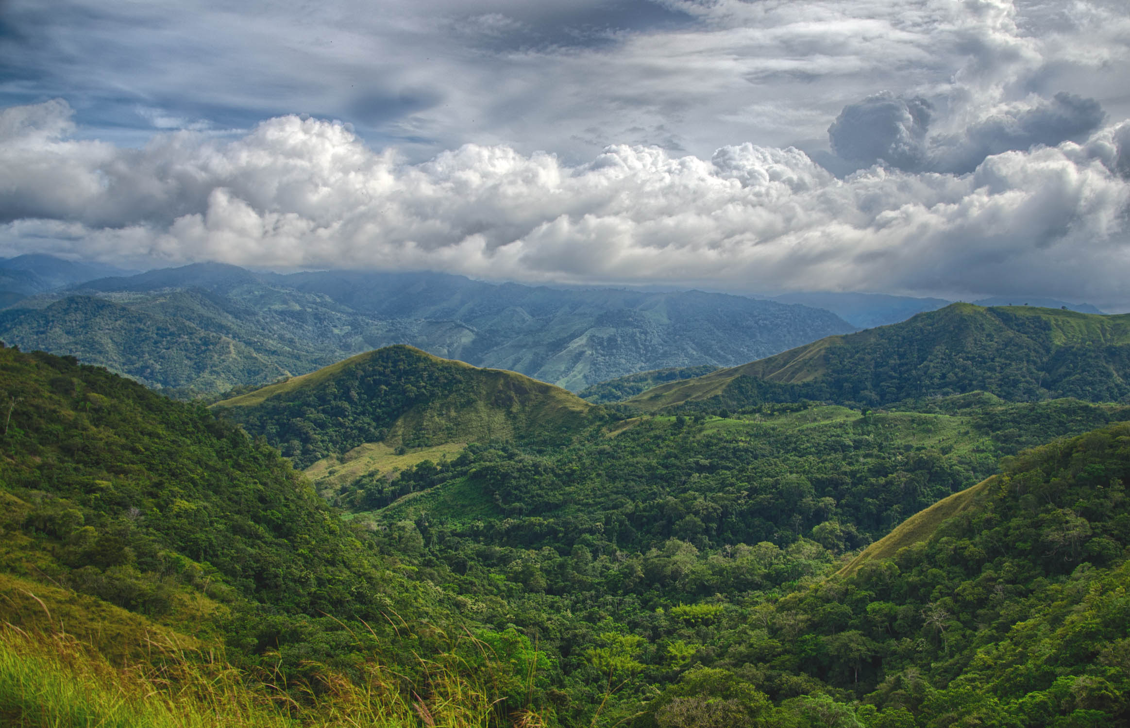 タラマンカ山脈地帯：ラ・アミスタ自然保護区群とラ・アミスタ国立公園