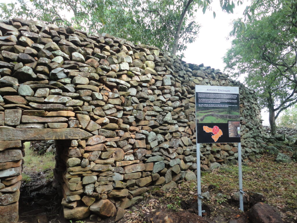 ティムリカ・オヒンガ