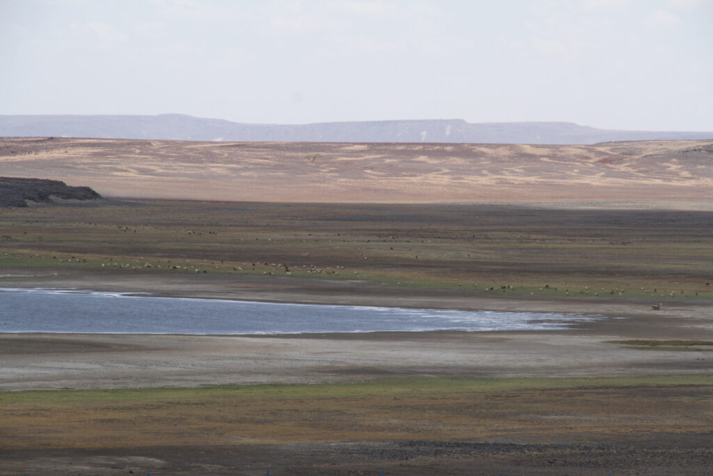 トゥルカナ湖国立公園群