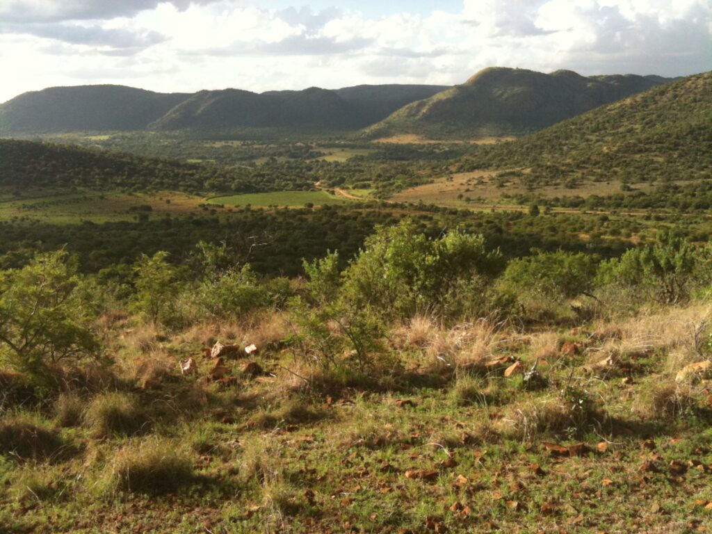 フレーデフォート・ドーム