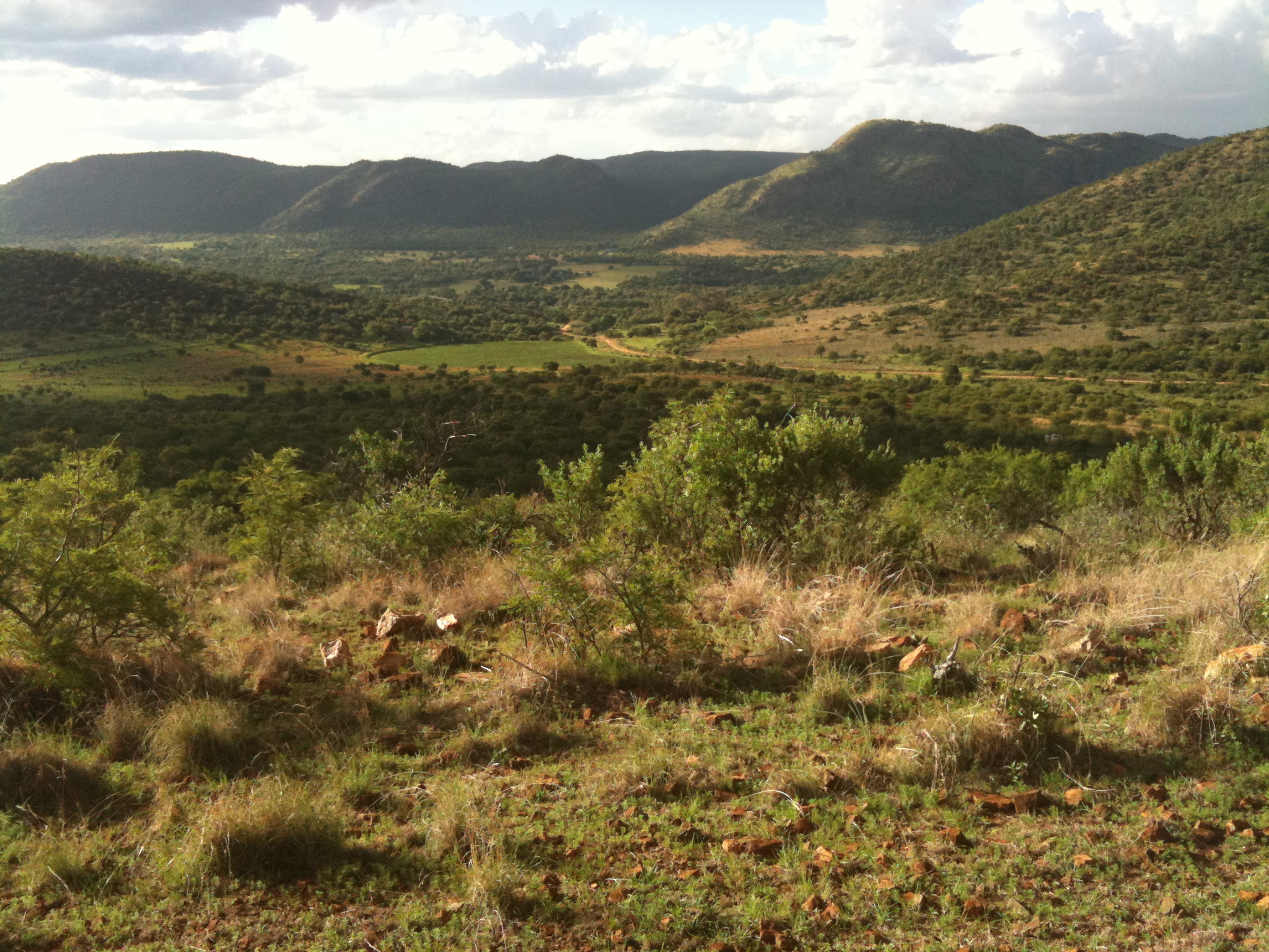 フレーデフォート・ドーム