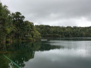 クイーンズランドの湿潤熱帯地域