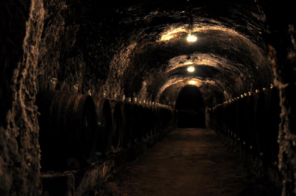 トカイ地方のワイン産地の歴史的文化的景観