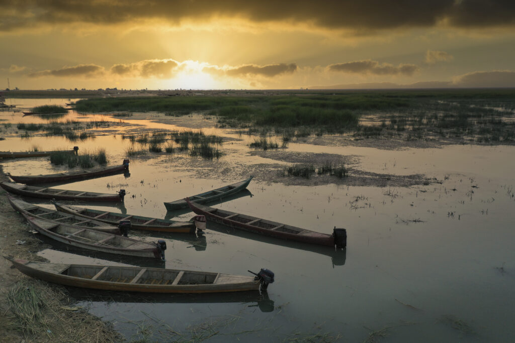 イラク南部のアフワル：生物多様性の保護地域とメソポタミアの都市の残存景観