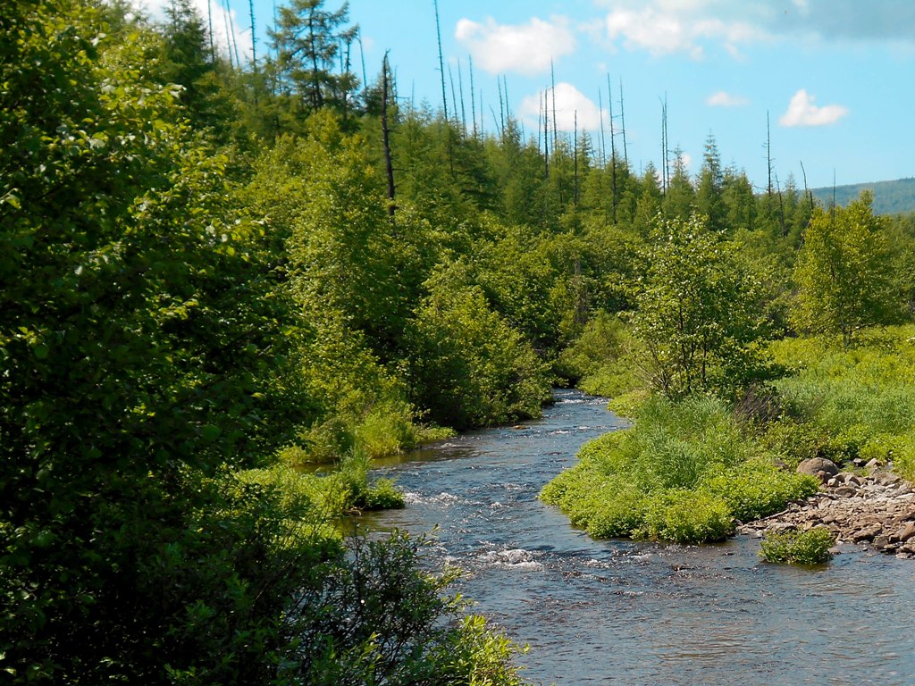 シホテ・アリニ山脈中央部