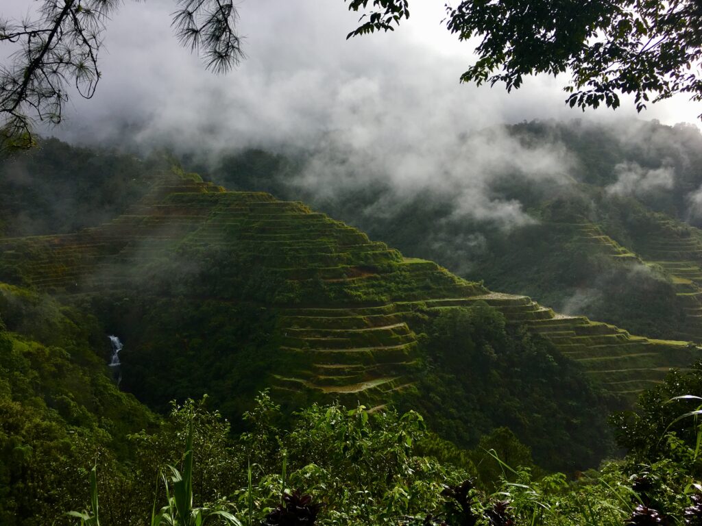フィリピンのコルディリェーラの棚田群
